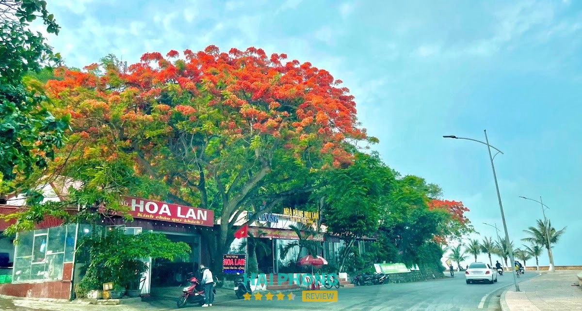 Nhà Hàng Hải Sản Hoa Lan – hình ảnh 3