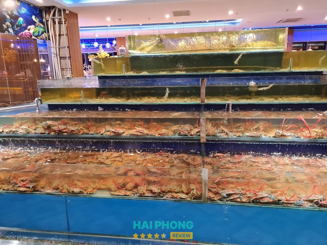 Buffet Hải Sản - Hp3 Seafood Hồng Bàng