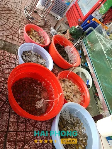 Không gian Quân Cát Bà