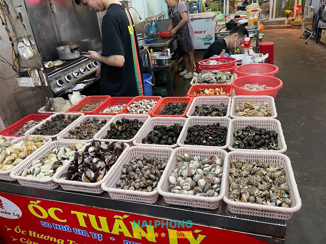 Ốc Tuấn Lý – hình ảnh 3