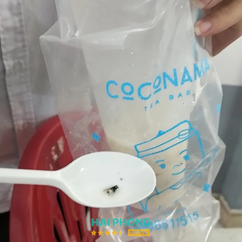 Coco Nama Tea Bar - Kiến An - hình ảnh 1