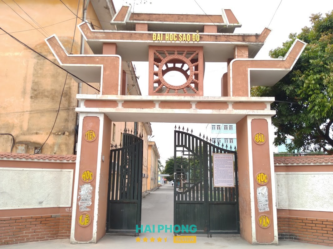 Sân bóng cỏ nhân tạo Đại học Sao Đỏ – hình ảnh 3
