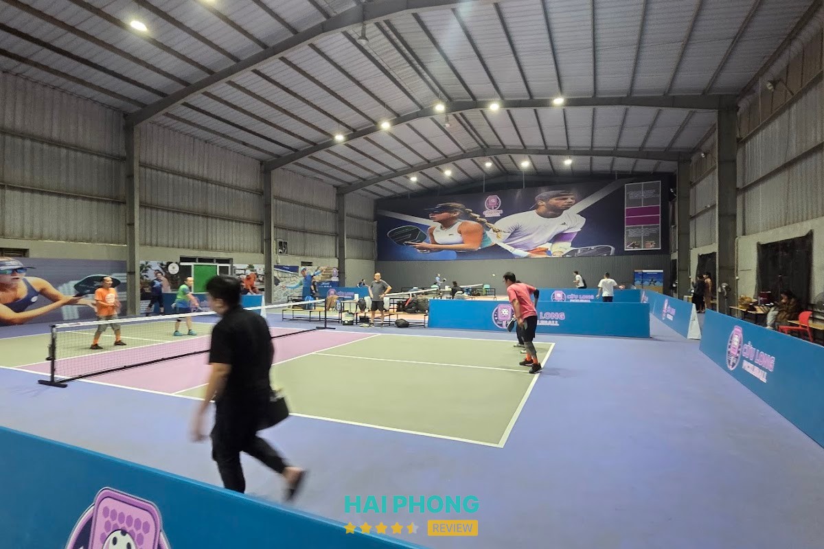 Cọ Pickleball Hồng Bàng