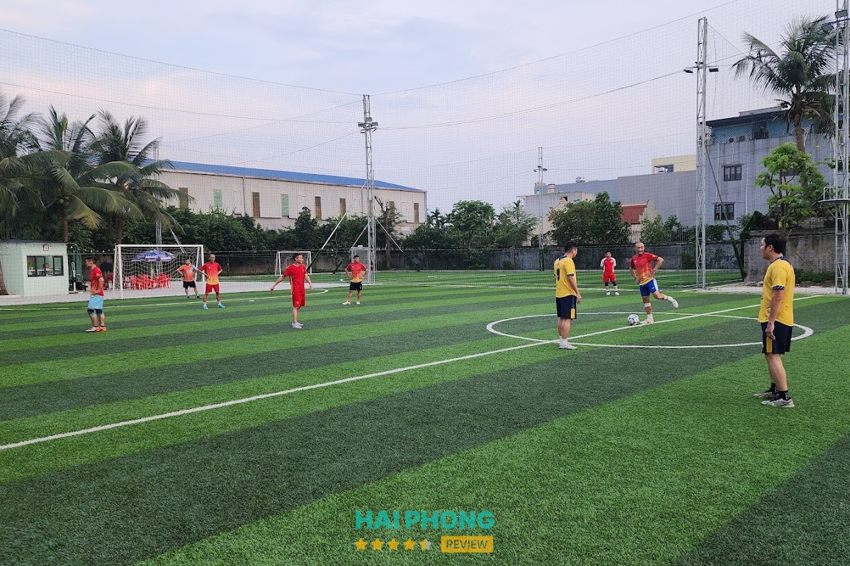 Cọ Pickleball – hình ảnh 2