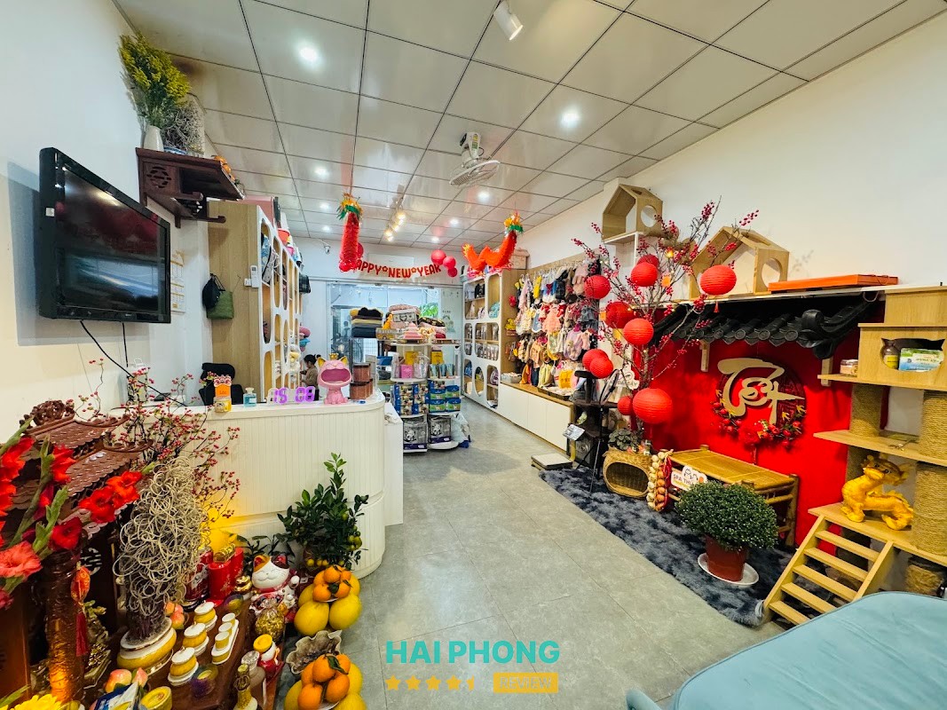 Tiệm Làm Đẹp Thú Cưng - PewPew hình ảnh 2
