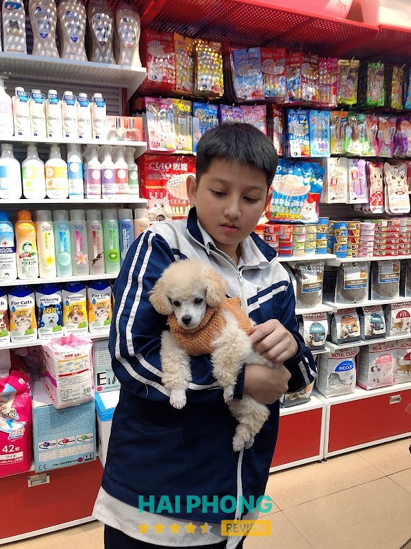 Pet Mart Hải Phòng - Cửa Hàng Thú Cưng – shop bán phụ kiện cho thú cưng ở Hải Phòng – hình ảnh 2
