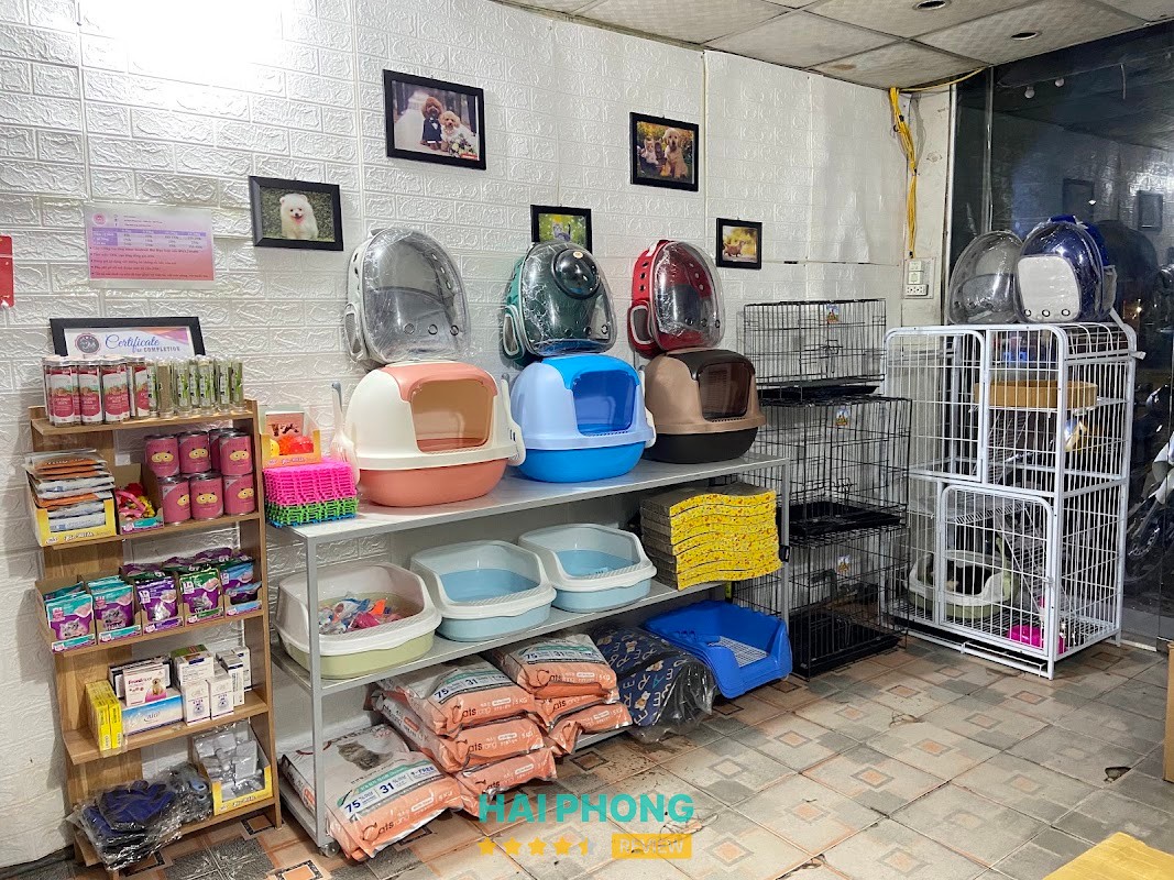 Tiệm Thú Cưng Anh Huy Chó – shop bán phụ kiện cho thú cưng ở Hải Phòng – hình ảnh 2