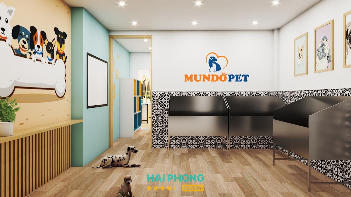 MundoPet 266 Tô Hiệu tại Lê Chân