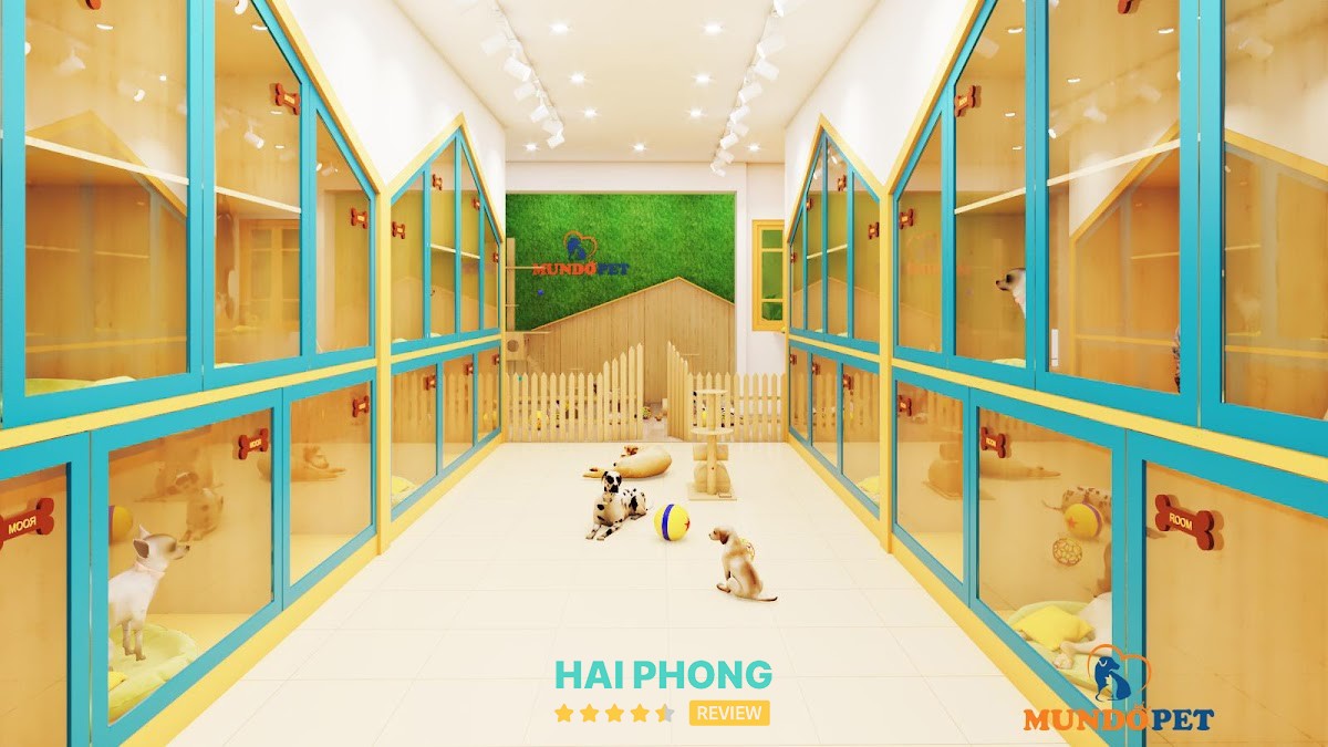 MundoPet 266 Tô Hiệu - hình ảnh 3