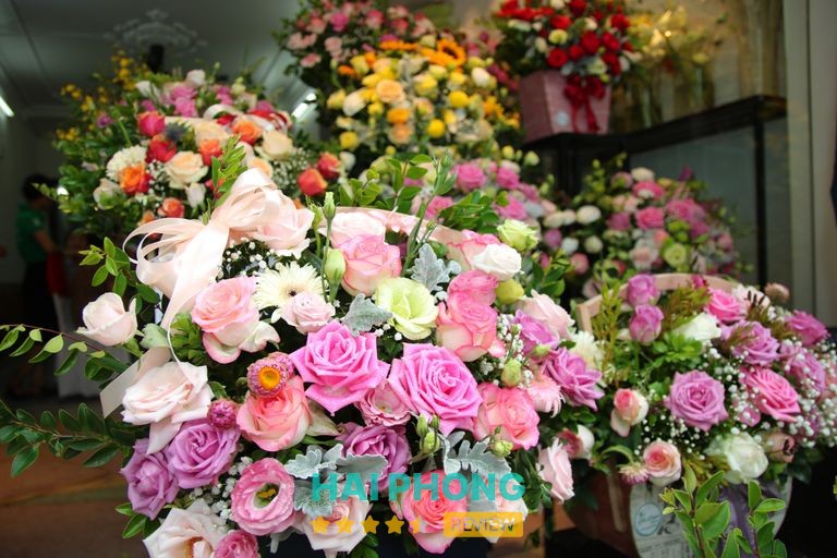 Hình ảnh hoa tại Thảo Nguyên Flower