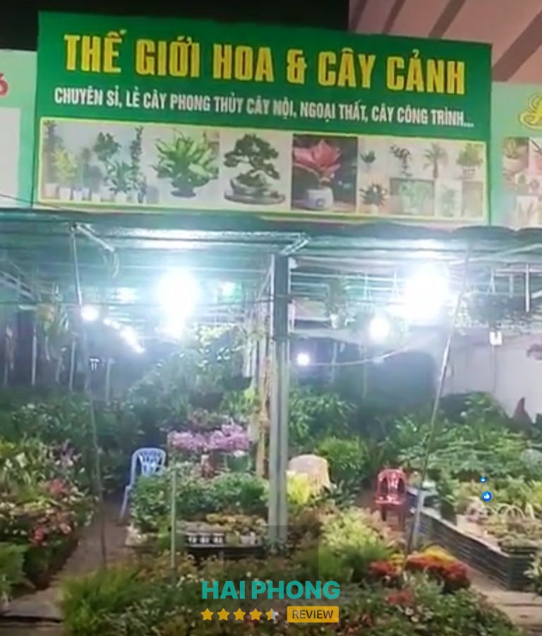 Thế Giới Hoa Và Cây Cảnh Vũ Loan