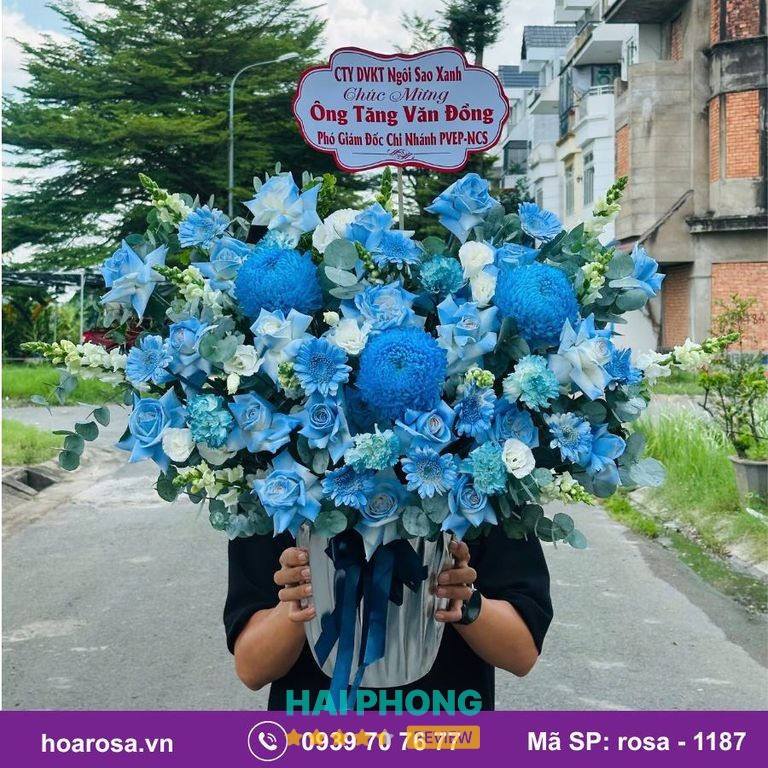 Các mẫu hoa tại Hoarosa Thanh Bình