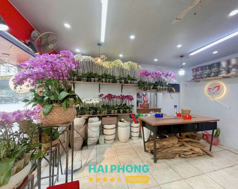 Điện Hoa Hải Phòng Bean Flowers - Hình ảnh thực tế 3