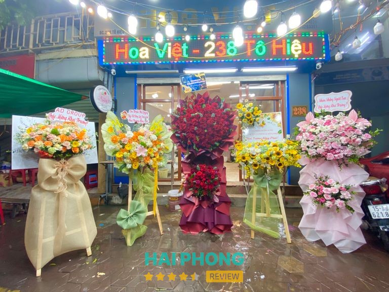 Hoa Việt Hải Phòng - Hình ảnh thực tế 2