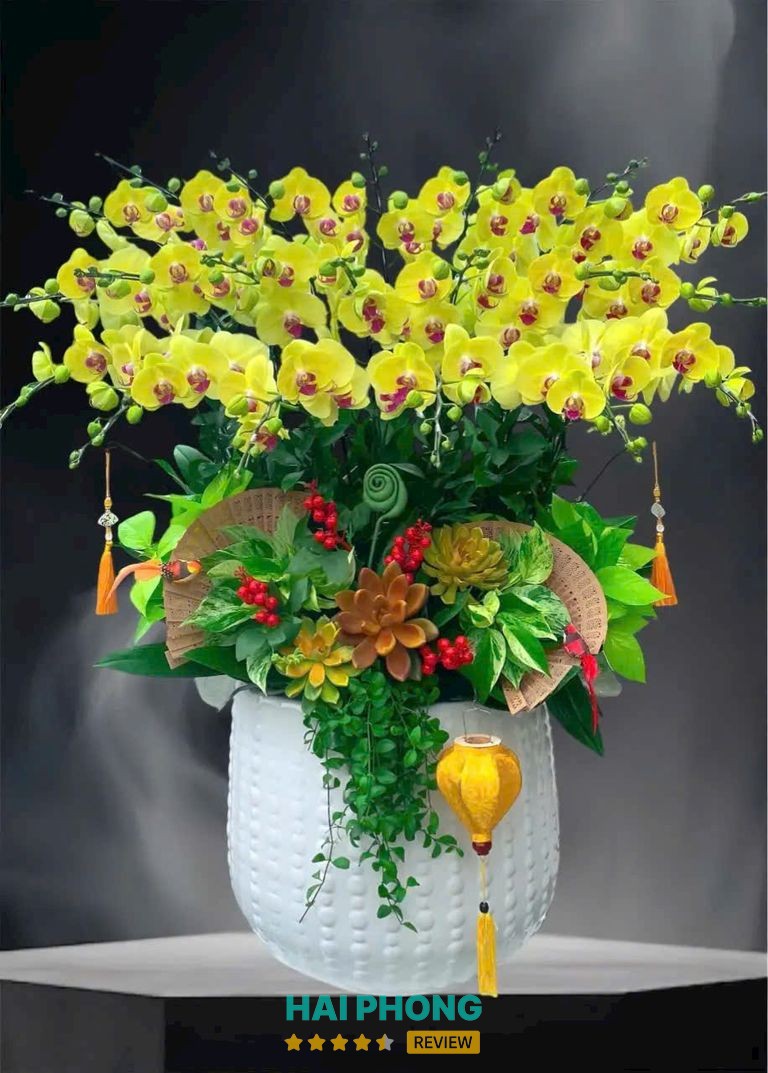 Hoa Lan Phương Hải Phòng tại Dư Hàng