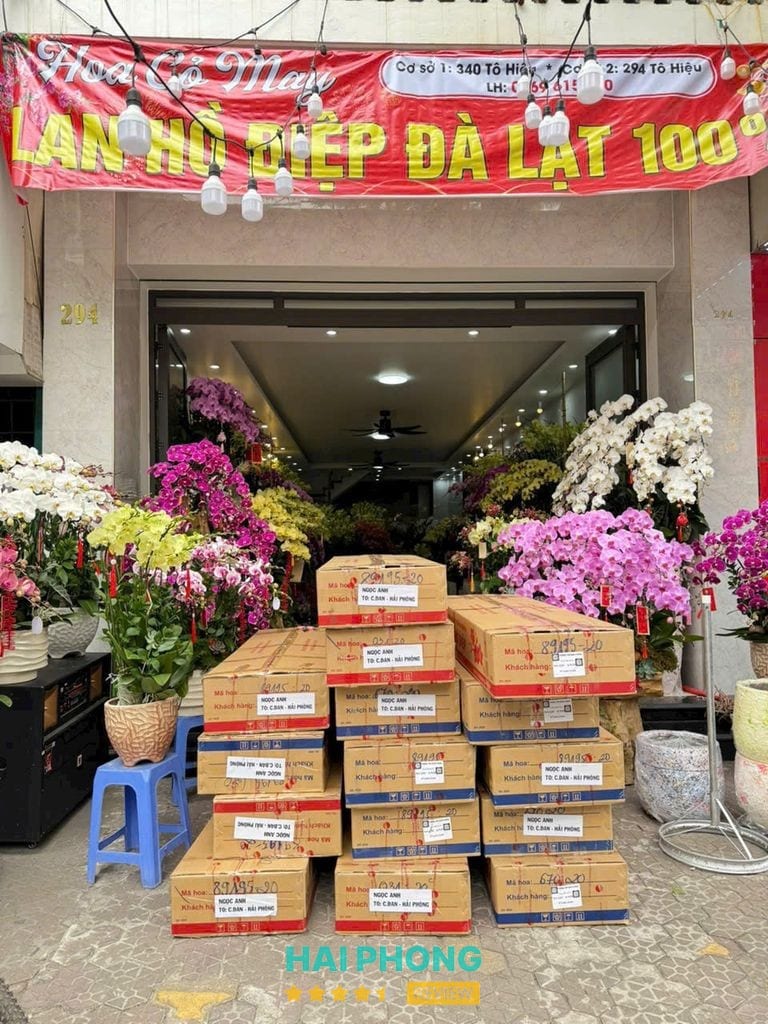 Cửa hàng hoa Bích Lệ tại 188 Tô Hiệu