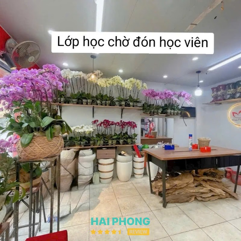 Điện Hoa Hải Phòng - Bean Flowers – hình ảnh 2