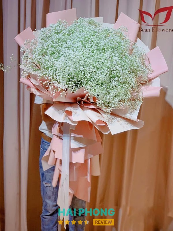 Điện Hoa Hải Phòng - Bean Flowers – hình ảnh 3