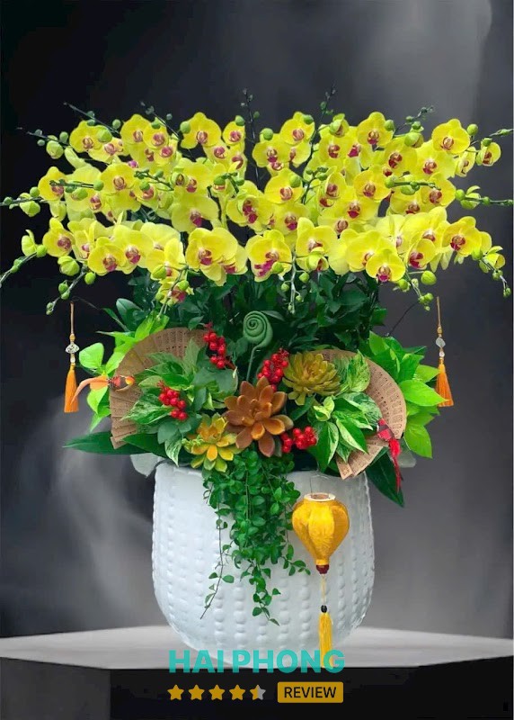 Hoa Lan Phương Hải Phòng Hải Phòng