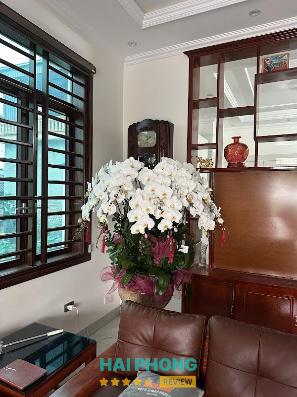 Caspi Florist - Tiệm Hoa Lan Hồ Điệp – hình ảnh 3