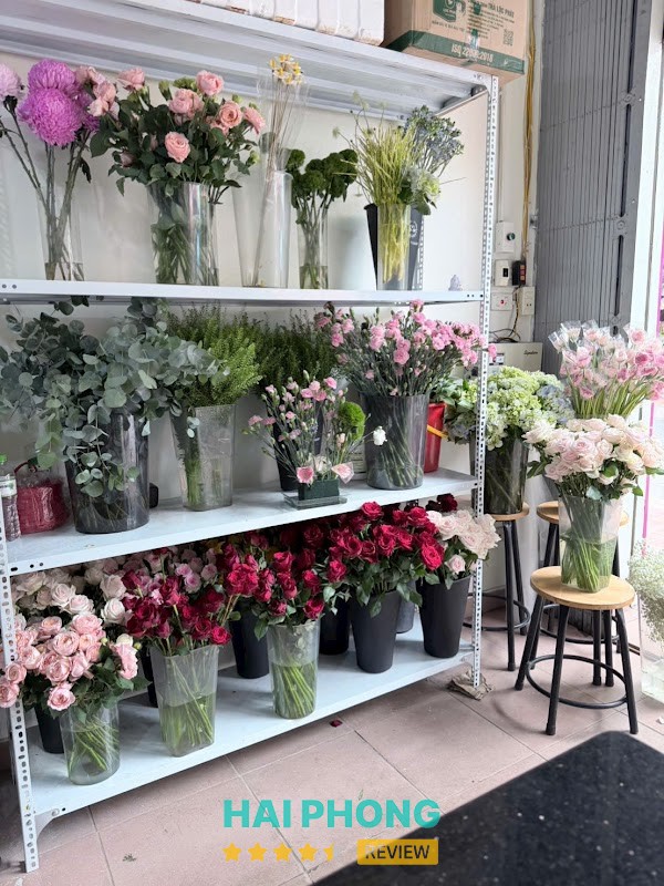 Shop hoa tươi Hải Phòng - Hoa Bình An Gia Viên