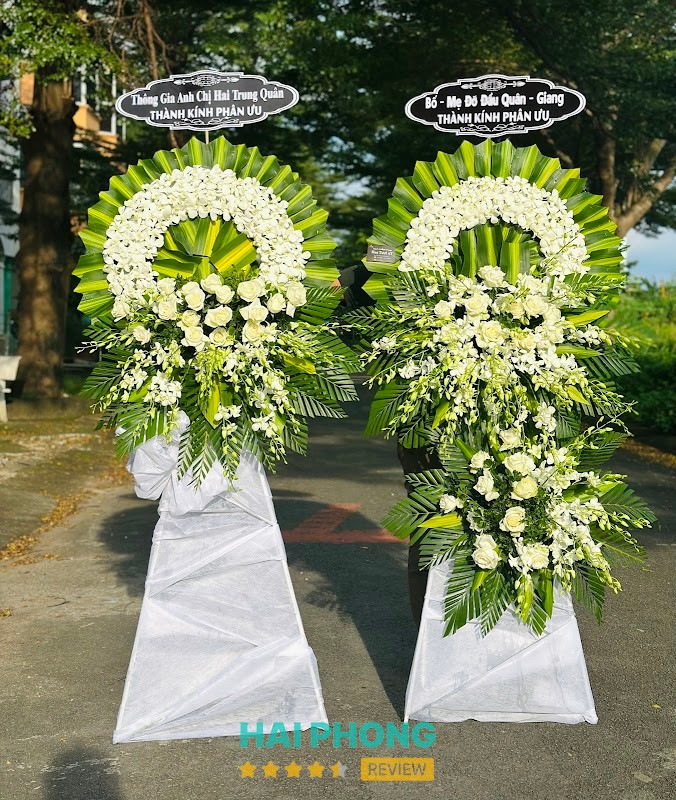 Hoarosa - hình ảnh 3