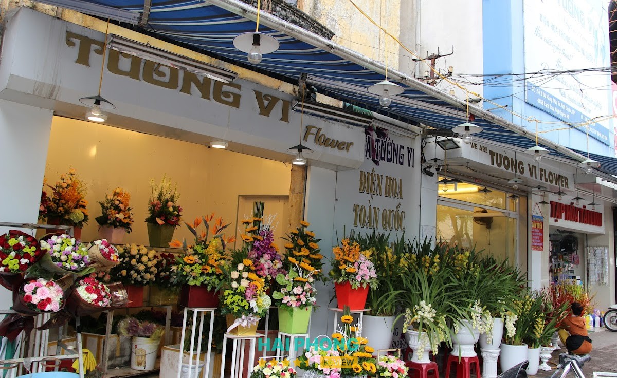 Điện hoa Tường Vi Hải Phòng - hình ảnh 1
