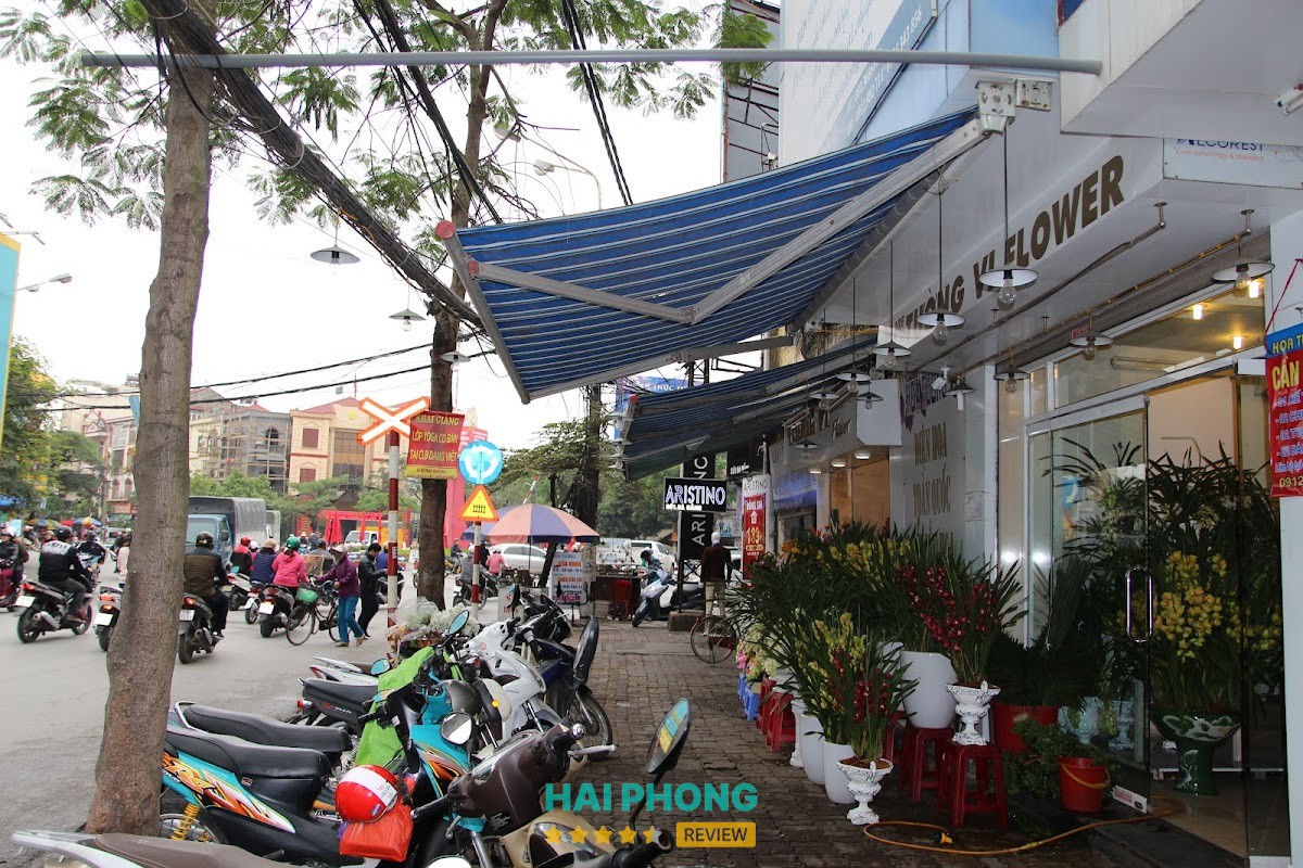 Điện hoa Tường Vi Hải Phòng - hình ảnh 2