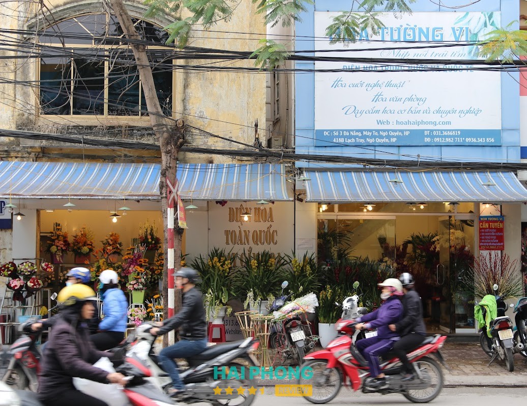Điện hoa Tường Vi Hải Phòng - hình ảnh 3