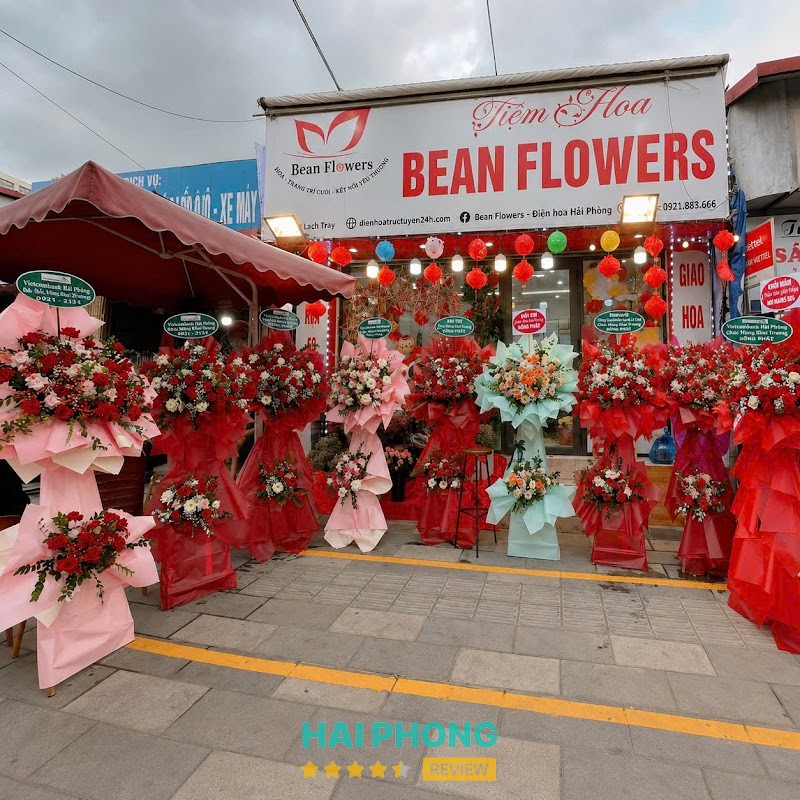 Điện Hoa Hải Phòng - Bean Flowers Gia Viên