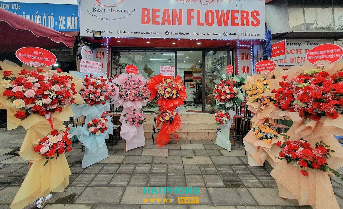 Điện Hoa Hải Phòng - Bean Flowers hình ảnh 3