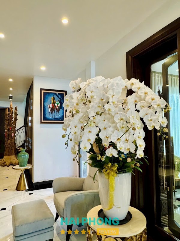 Hoa Lan Phương Hải Phòng – hình ảnh 2