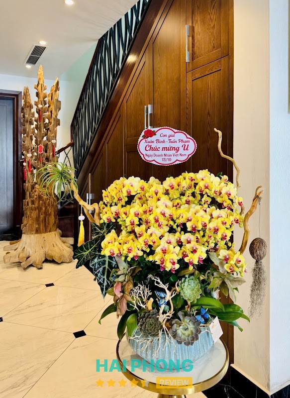 Hoa Lan Phương Hải Phòng – hình ảnh 3