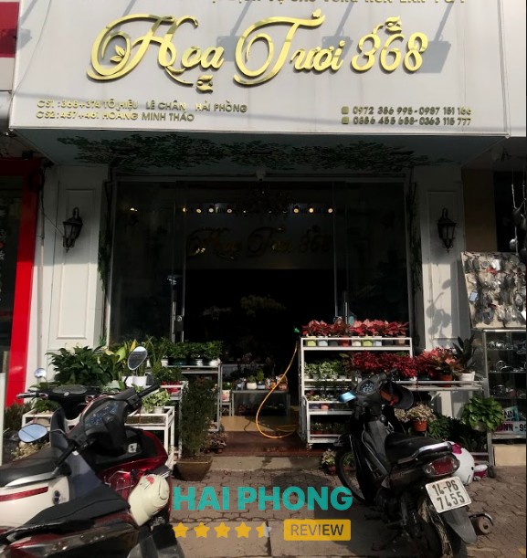 Hoa Tươi 368 – 392 P. Tô Hiệu, Lê Chân, Hải Phòng 180000, Việt Nam