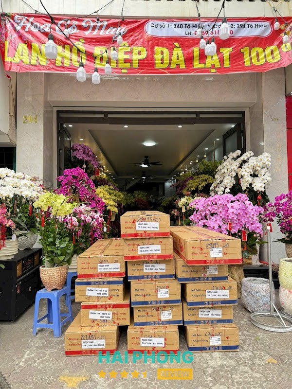 Cửa hàng hoa Bích Lệ – 188 P. Tô Hiệu, Lê Chân, Hải Phòng, Việt Nam