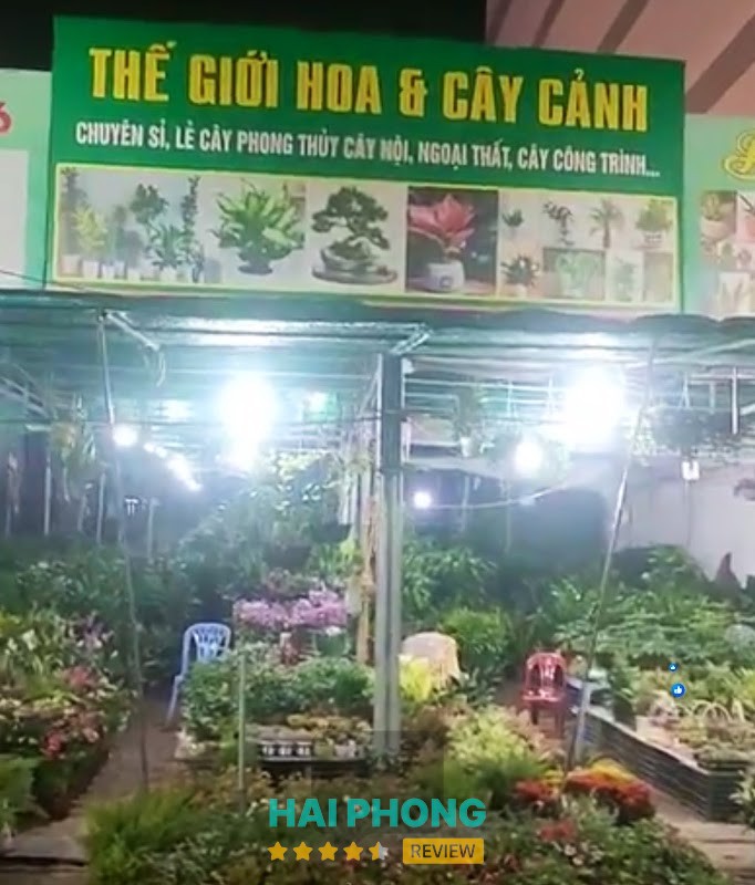 Thế Giới Hoa Và Cây Cảnh Vũ Loan – 541 Trường Chinh