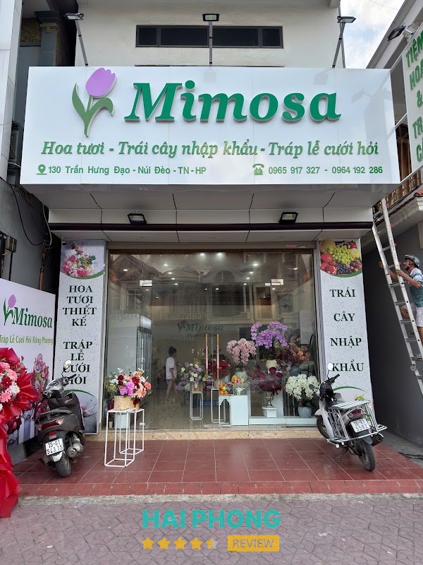 Mimosa Hoa Tươi - Trái Cây Và Tráp Cưới – hình ảnh 1