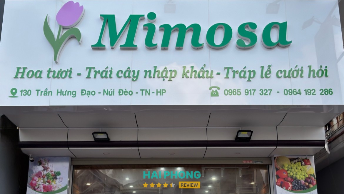 Mimosa Hoa Tươi - Trái Cây Và Tráp Cưới – hình ảnh 2