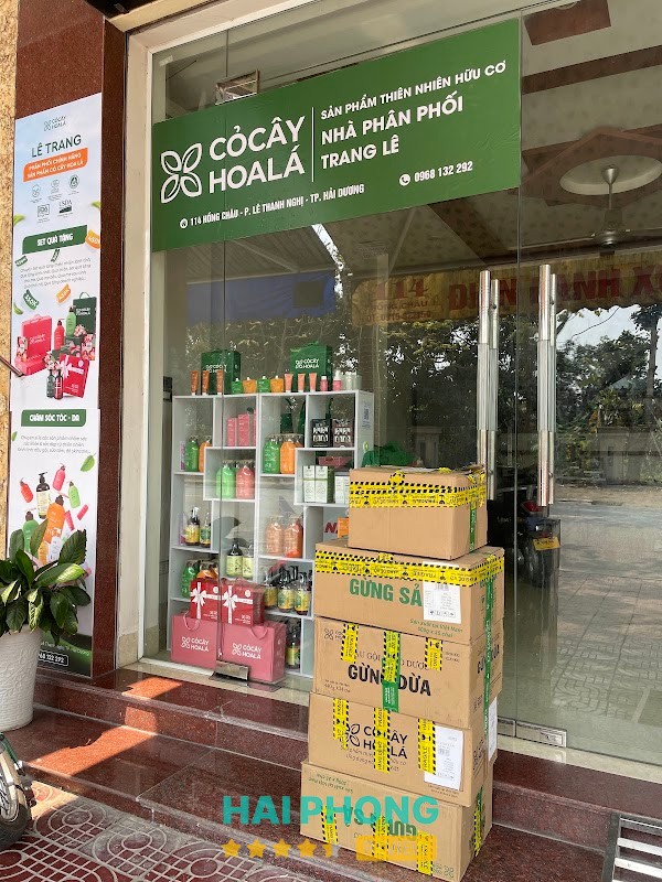 Showroom Cỏ Cây Hoa Lá Hải Dương