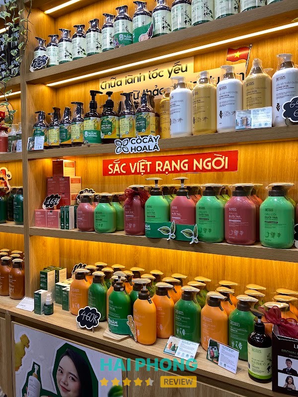 Showroom Cỏ Cây Hoa Lá - shop mỹ phẩm ở Hải Dương