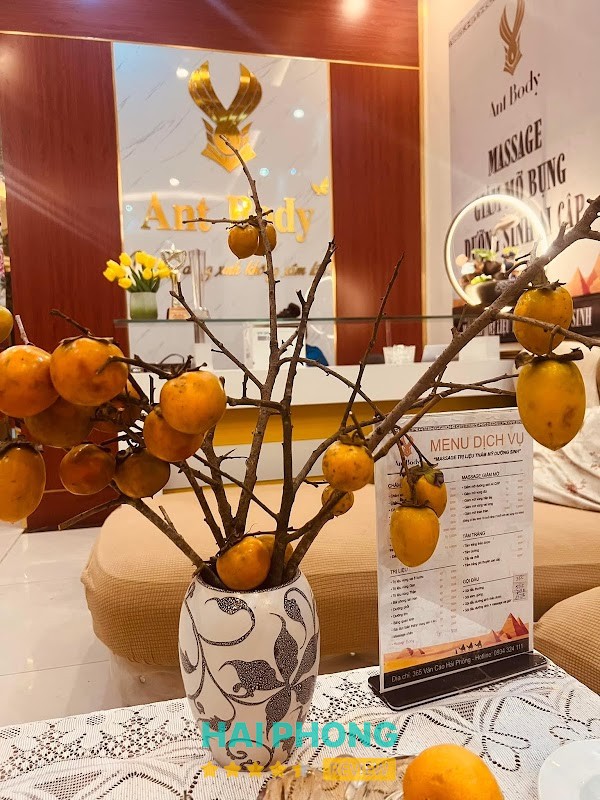 Ant Body Spa ( Spa dưỡng sinh ) – hình ảnh 3