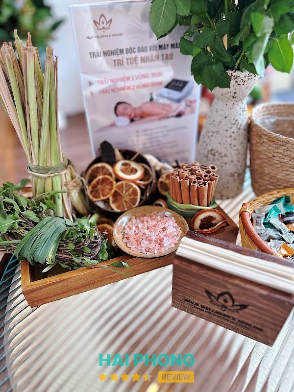 Mala Wellness Healing – hình ảnh 3