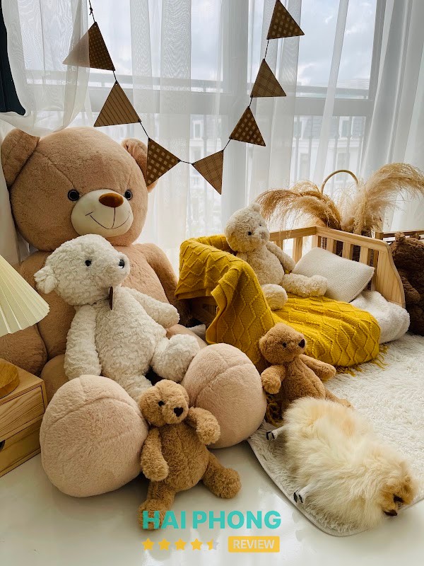 CAM STUDIO – hình ảnh 3