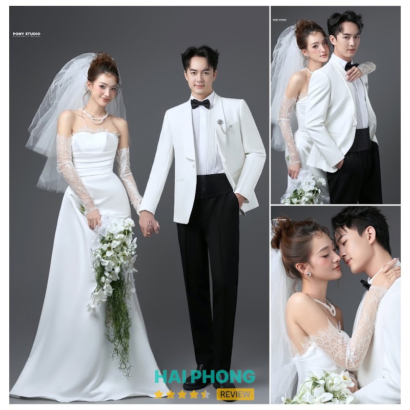 Pony Studio – hình ảnh 2