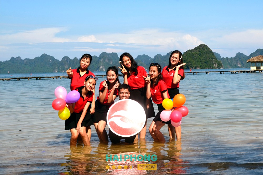 Thiết kế website Hải Phòng - VIETADS – hình ảnh 3