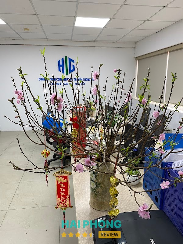 Công ty Công Nghệ Và Truyền Thông HIG – hình ảnh 3