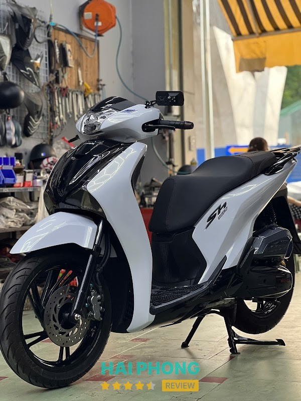 MV Decal – hình ảnh 3