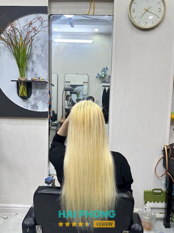 Bích Ngọc Nối Tóc – hình ảnh 2