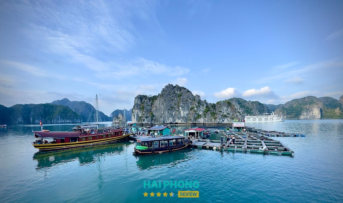 Cat Ba Ventures – hình ảnh 2