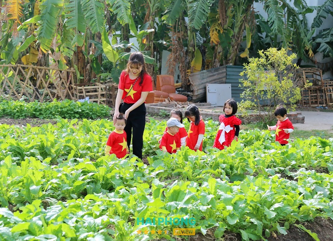 Trường Mầm Non Sunday An Biên – hình ảnh 2